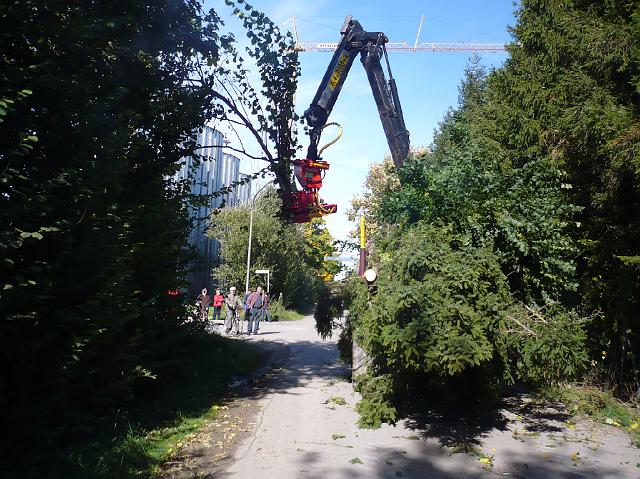 P1000312.JPG